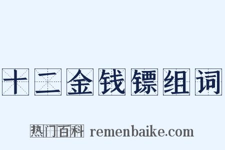 十二金钱镖组词是什么意思的图片